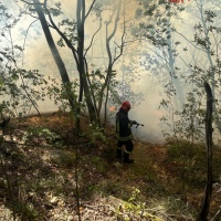 In fiamme i boschi sopra Como