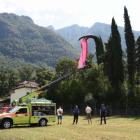 Sbaglia l’atterraggio e finisce su una pianta