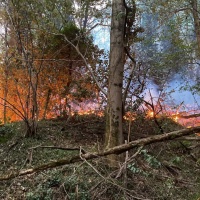 Sul monte devastato dalle fiamme, per un selfie