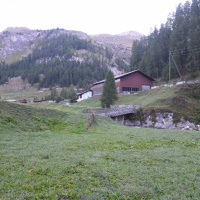 Spara al cervo... ma era un cavallo