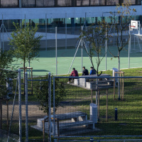 Dove arrivano i richiedenti, gli affitti scendono