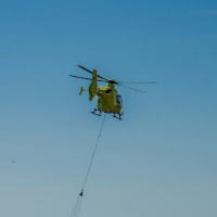 Cervo ucciso e portato via dall'Italia in volo: è un affare tutto ticinese