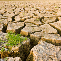 "Emergenza Terra" racconta la grande trasformazione