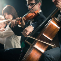 A Lugano s'investe poco per la musica (e quasi tutto va alla classica)