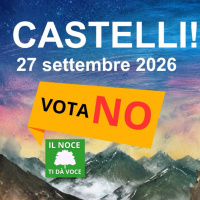 Le non verità allucinogene