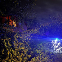 Un albero cade sulla strada tra Origlio e Ponte Capriasca
