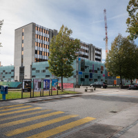 Scuola e abusi insabbiati: «Serve uno sportello indipendente per denunciare»
