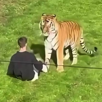 Cercare la morte allo zoo