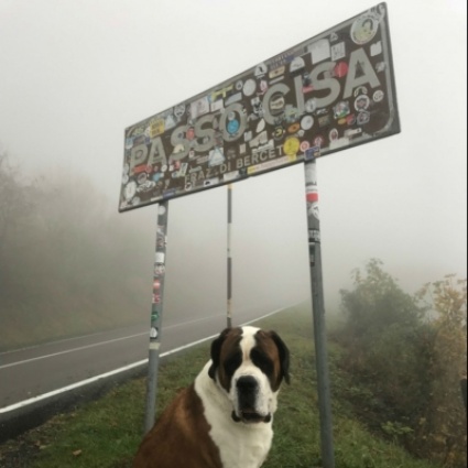 Sulla Via Francigena, dal passo al mare