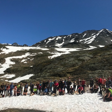 Transumanza dei San Bernardo, la tradizione continua