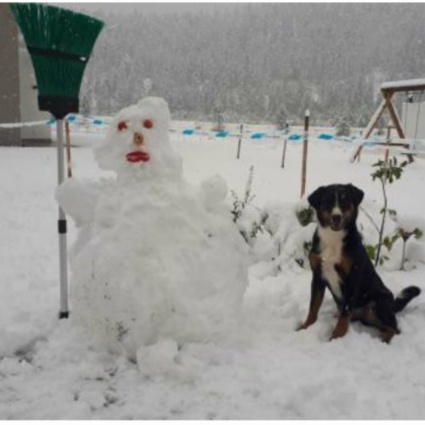 In Ticino torna il sole… ma nei Grigioni sembra inverno