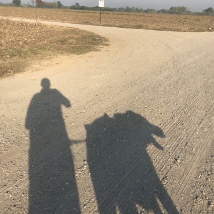 La Via Francigena: un percorso attraverso la storia