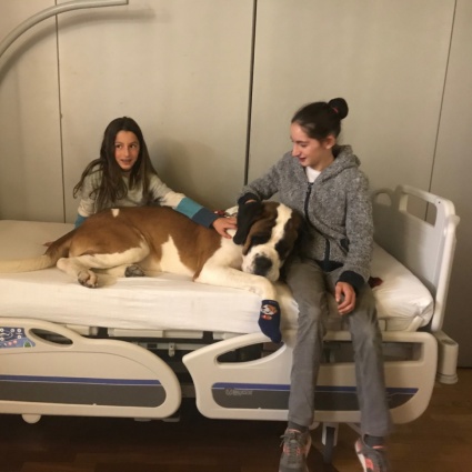 Momenti di terapia e felicità con Magnum