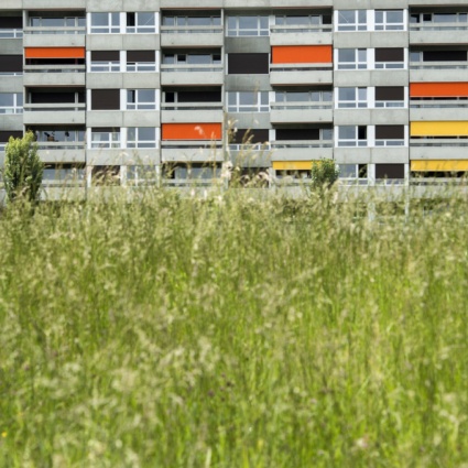 I vicini di casa non si sopportano più