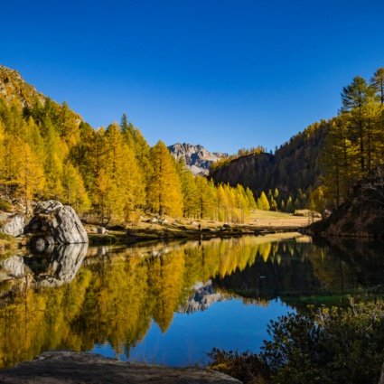 Sui sentieri Walser da Binn a Bosco Gurin