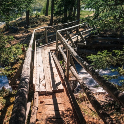 A spasso nel Parco Nazionale Svizzero