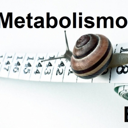 Il metabolismo basale
