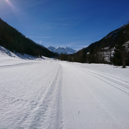 Apre pure la pista di fondo della Valle Bedretto
