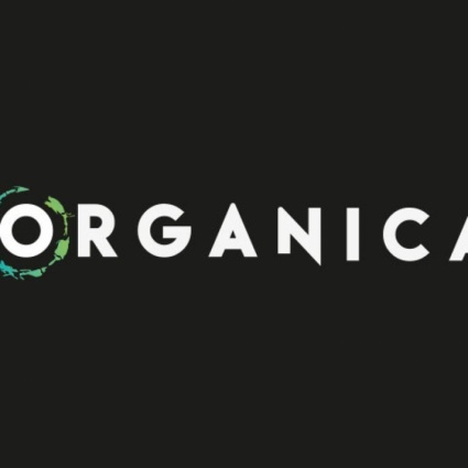 Da Snds a Organica: dall’intuizione all’evoluzione
