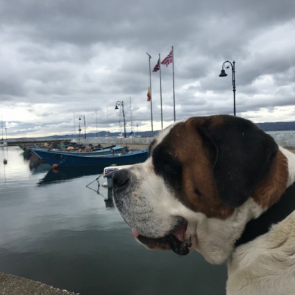 Via Francigena: da Acquapendente al lago di Bolsena