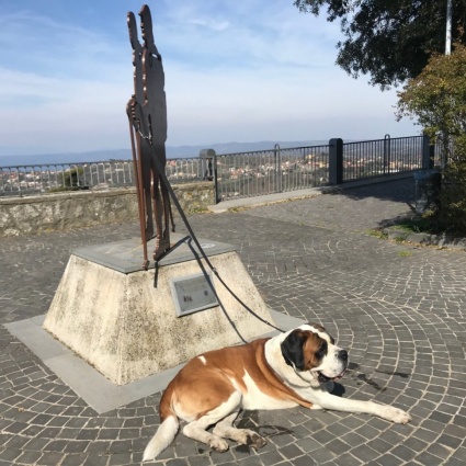 Via Francigena: dal lago di Bolsena a Montefiascone
