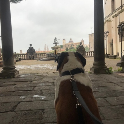 Sulla Via Francigena fino a Viterbo