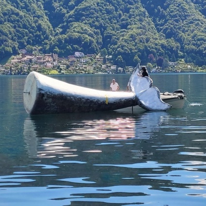 La coda di balena è finita al Museo della pesca