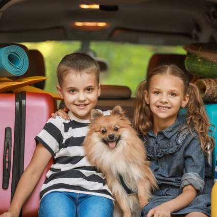 Le pet vacanze belle e possibili