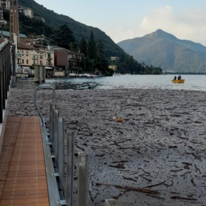 Il Ceresio è un lago di legname e detriti
