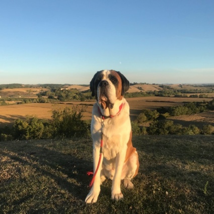A spasso con Magnum sulle Crete Senesi