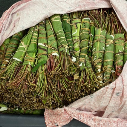 In aeroporto con qat e cocaina