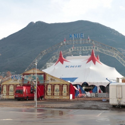 Torna in Ticino, dopo due anni, la magia del Circo Knie