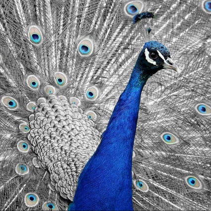 Hai tanti followers, ma vendi poco? Cosa sono le vanity metrics e come possono diventare utili