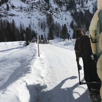 Tutti in carrozza nella bella Val Roseg