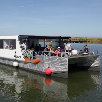 Navigare sul Grande Fiume da Pavia a Venezia