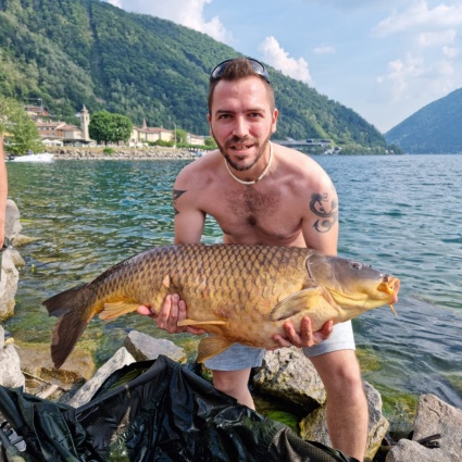 Carpa gigante pescata nel Ceresio