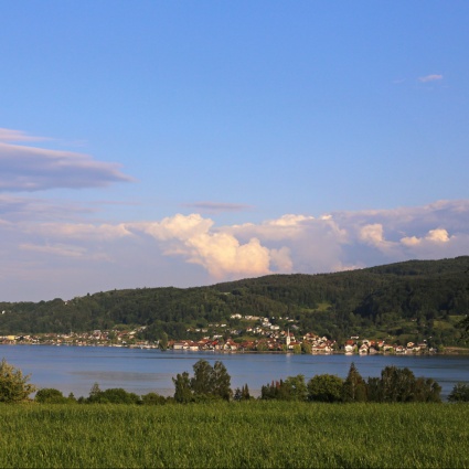 Entra nel lago, non ne esce più