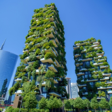 Il cambiamento climatico allarga la foresta verticale