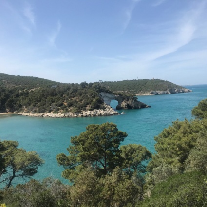 La Puglia per terra e per mare: dai trulli agli ulivi