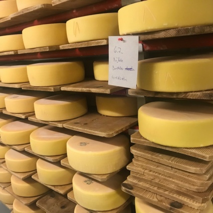 «Forse il nostro formaggio è semplicemente diverso, ogni forma è un pezzo di natura»