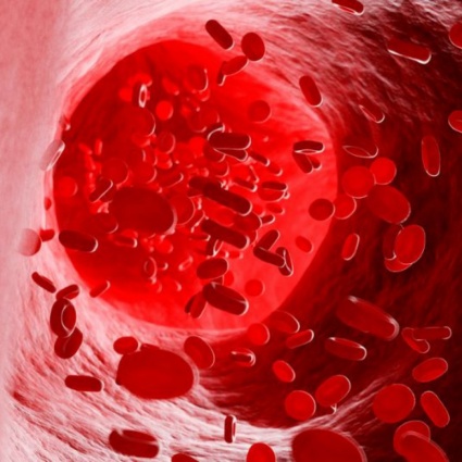 Le diverse tipologie di anemia e come trattarle