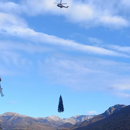 Atterrato in piazza Riforma l'albero di Natale
