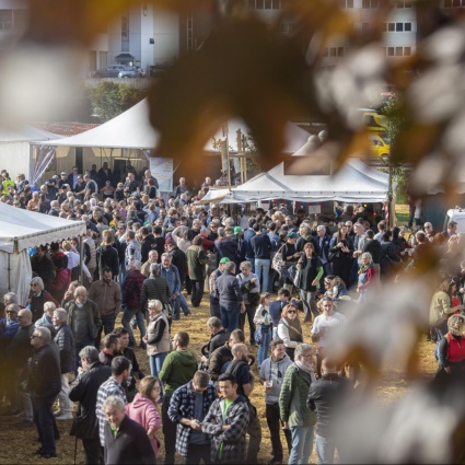 San Martino, una festa baciata dal sole