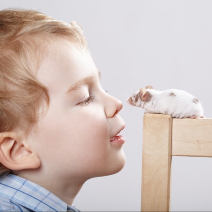 Bambini e animali domestici: quale scegliere?