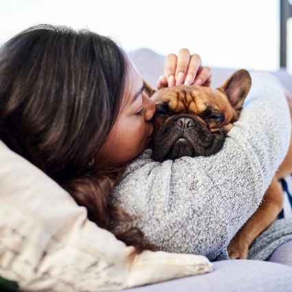 Tutti amano gli animali domestici! Scopri i nostri consigli per convivere in armonia