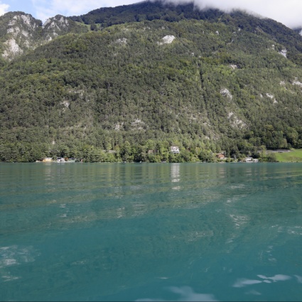 Il passeggero di un battello cade nel lago