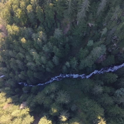 Fungiatt ritrovato morto in Val Poschiavo