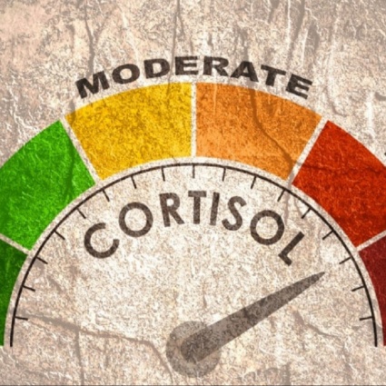Il cortisolo