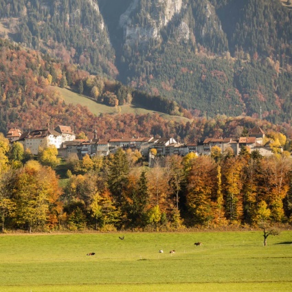 Gruyère, tra formaggio, terme, cioccolato e alieni