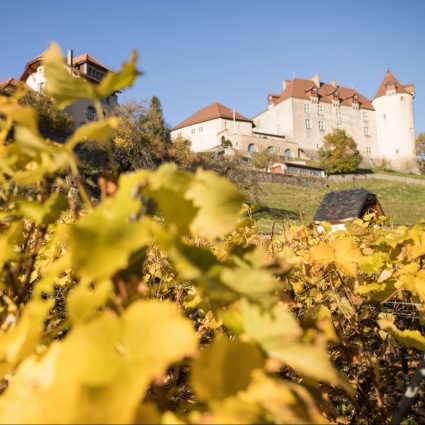 Il Castello di Gruyères: un viaggio nel tempo e nella storia
